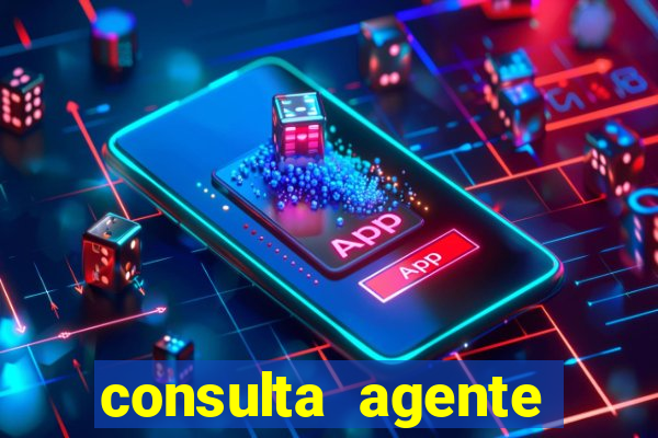 consulta agente autuador sp